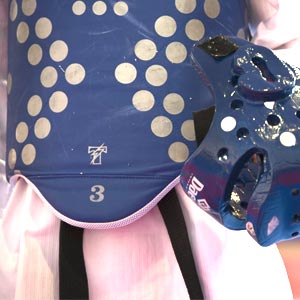電子胴プロテクター