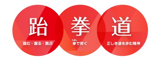 跆拳道とは